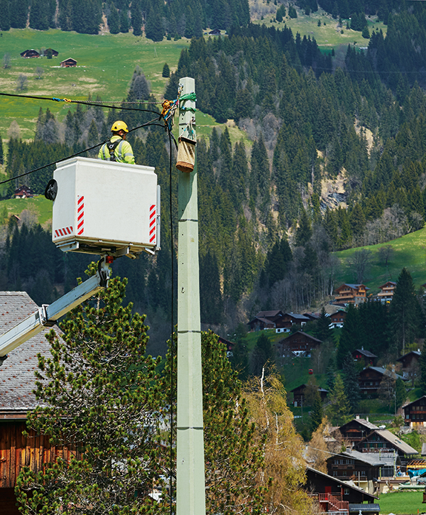 photo d'un poteau électrique couleur vert pâle en massif montagneux