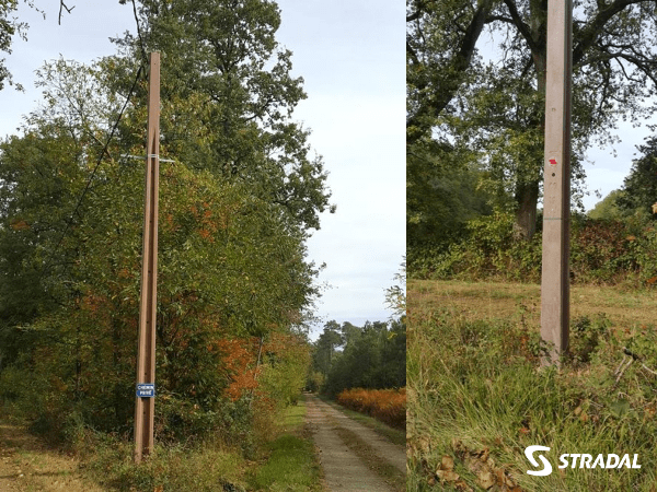 photo d'un poteau de distribution classe D, teinté dans la masse, de coloris brun marron et implanté sur un chemin forestier ou en campagne